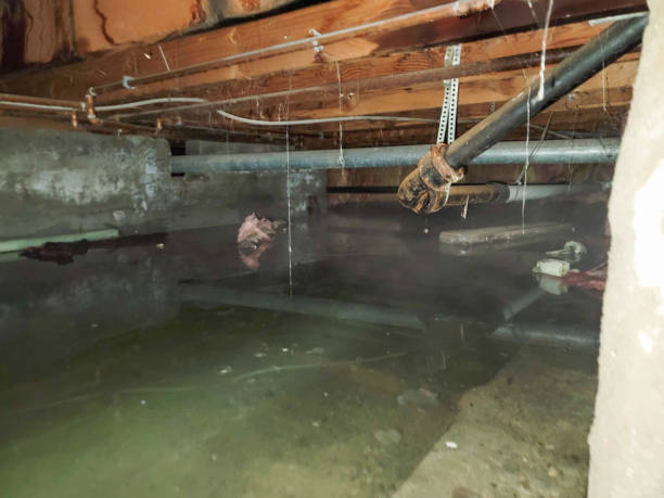 Best Residential water damage restoration  in Oakland, FL
