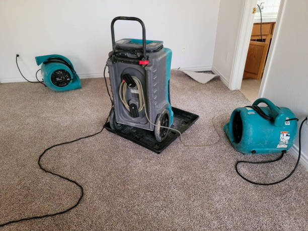 Best Professional water damage repair  in Oakland, FL