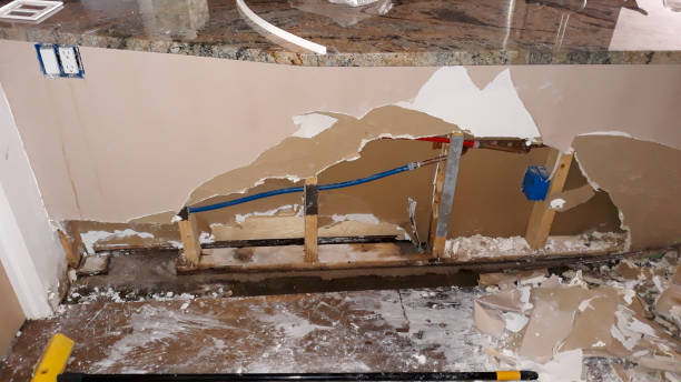 Best Carpet water damage restoration  in Oakland, FL