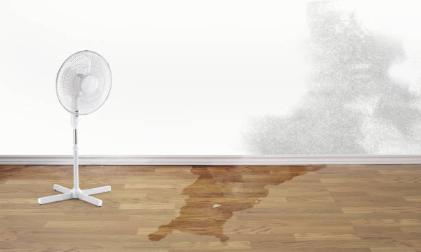 Best Sewage cleanup and water damage restoration  in Oakland, FL