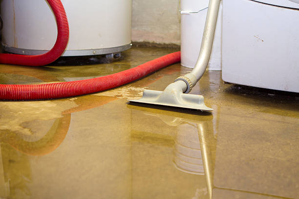 Best Basement water damage restoration  in Oakland, FL