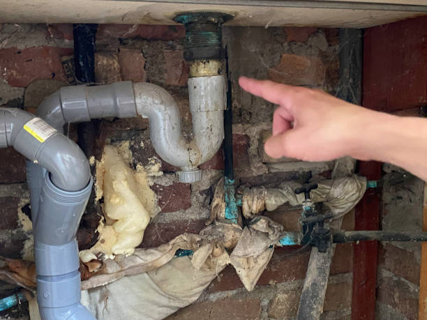 Best Carpet water damage restoration  in Oakland, FL