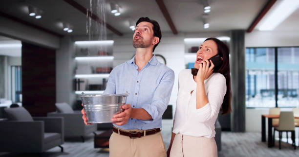Best Mold removal after water damage  in Oakland, FL