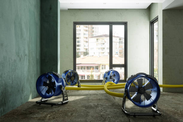 Best Commercial water damage restoration  in Oakland, FL