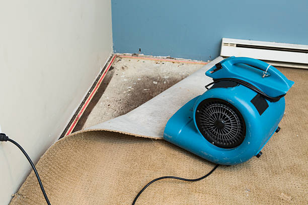 Best Fire Damage Restoration  in Oakland, FL